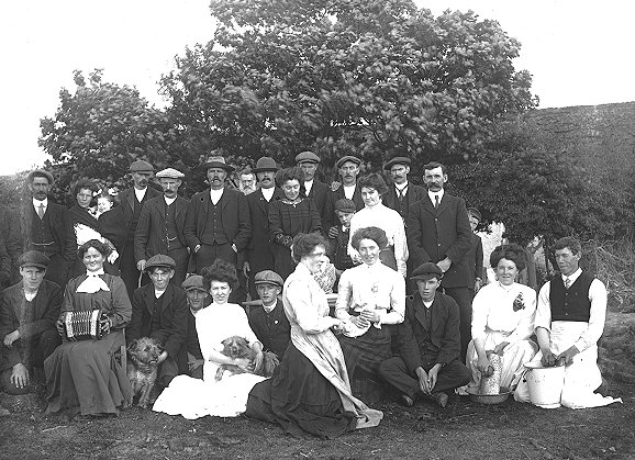 Potato harvest festival