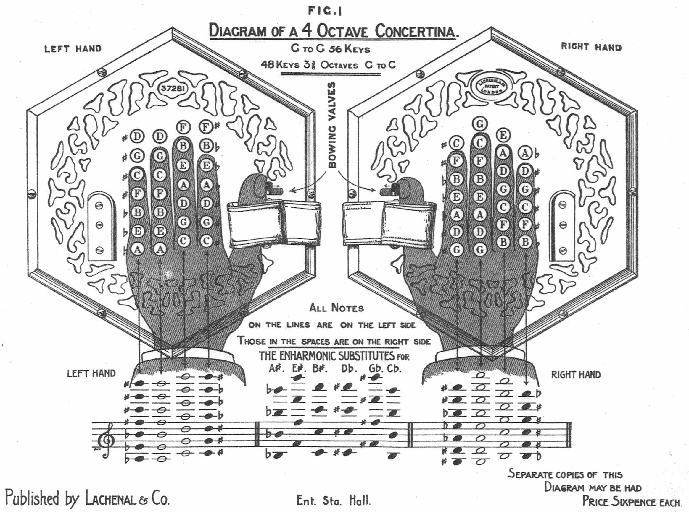 Concertina Button Chart